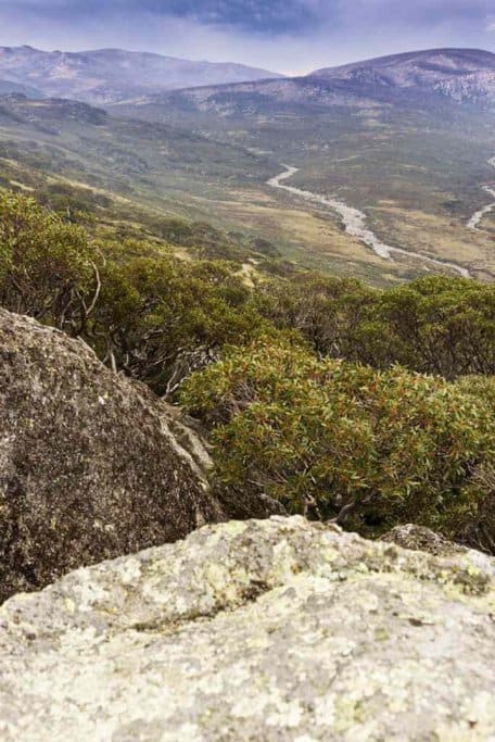 Expansive view of the rugged landscape in Kosciuszko National Park, highlighting the natural beauty found on road trips in Australia.