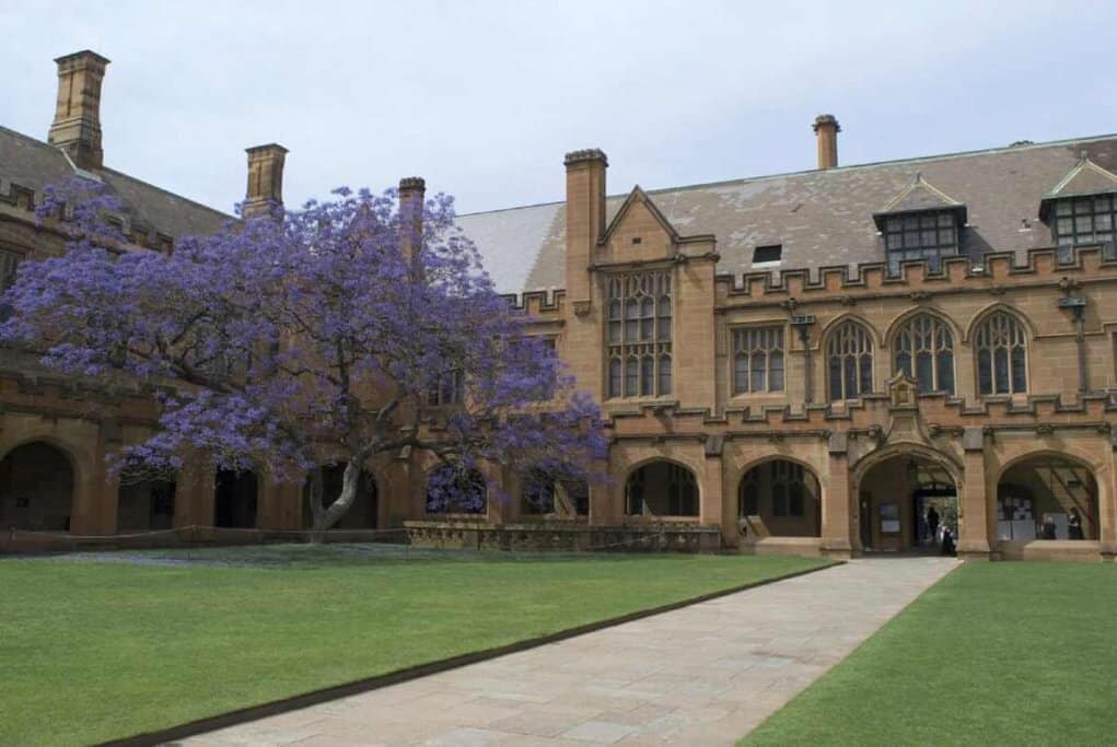 The Quadrangle at the University of Sydney with vibrant jacaranda trees, reflecting the pros of living in Sydney such as access to prestigious education and a serene learning environment.