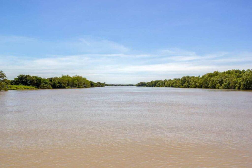 The expansive muddy waters of the Adelaide River in Kakadu National Park, Australia, surrounded by lush greenery, hinting at the habitat's potential for crocodile presence and prompting the question: are there crocodiles in Adelaide?