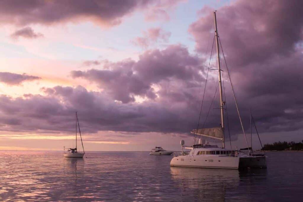Serene sunset view with multiple sailboats, including a catamaran, part of a private boat tour in Sydney, reflecting the peaceful end-of-day scenery on the water.