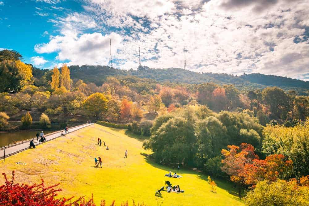 Families relaxing on a sunny hillside surrounded by vibrant autumn foliage in Crafers, South Australia, capturing the colourful beauty of Adelaide in Autumn as the trees shift into shades of red, orange, and gold.