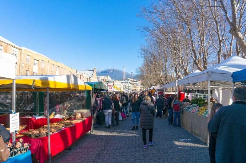 Shoppers browsing stalls at the Salamanca Market in Hobart, a must-visit spot on Hobart half-day tours, with Mount Wellington in the distance, highlighting the vibrant local culture and crafts available in Tasmania's capital.