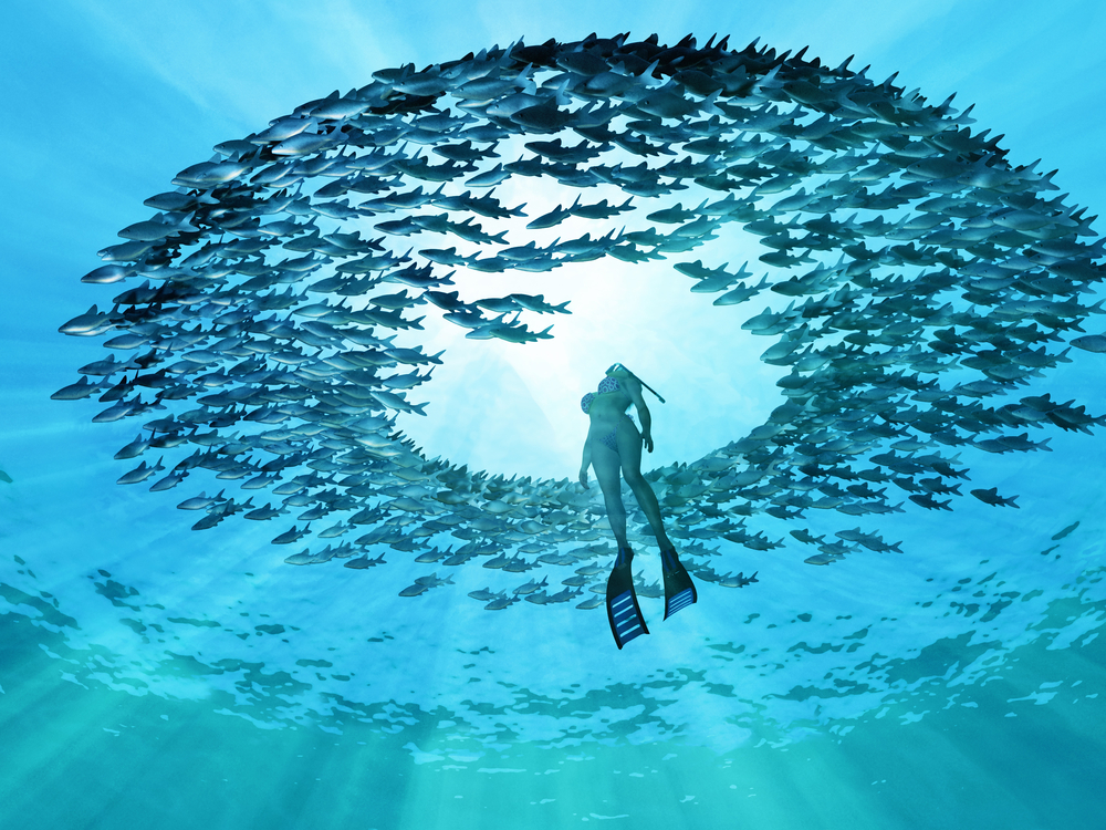 a woman under water in the middle of all the fishes