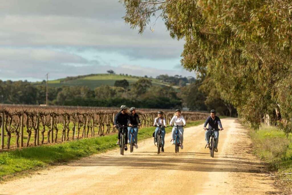 Group of people riding e-bikes on a dirt path through vineyards in Barossa Valley, showcasing the scenic and leisurely experience of a Barossa Valley Food & Wine E-bike Tour.