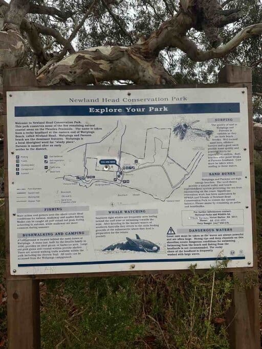 Information sign at Newland Head Conservation Park in Waitpinga Campground, showing a map, walking trails, safety tips, and highlights like whale watching, surfing, and bushwalking—helping campers explore the area around the Waitpinga beach campsite.
