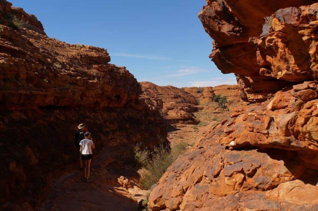Two hikers navigate the rugged red rock formations of Kings Canyon in Watarrka National Park, surrounded by towering sandstone cliffs and breathtaking desert scenery. This challenging yet rewarding hike is one of the unforgettable experiences in the Northern Territory, offering panoramic views of the vast Outback landscape.