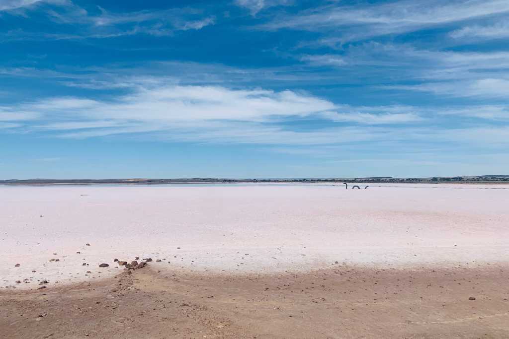 The pink lake called Lake Bumbunga