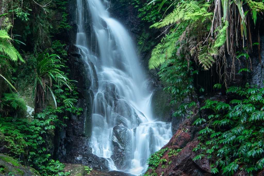 Beautiful falls in Lamington National Park- one of the road trips from brisbane