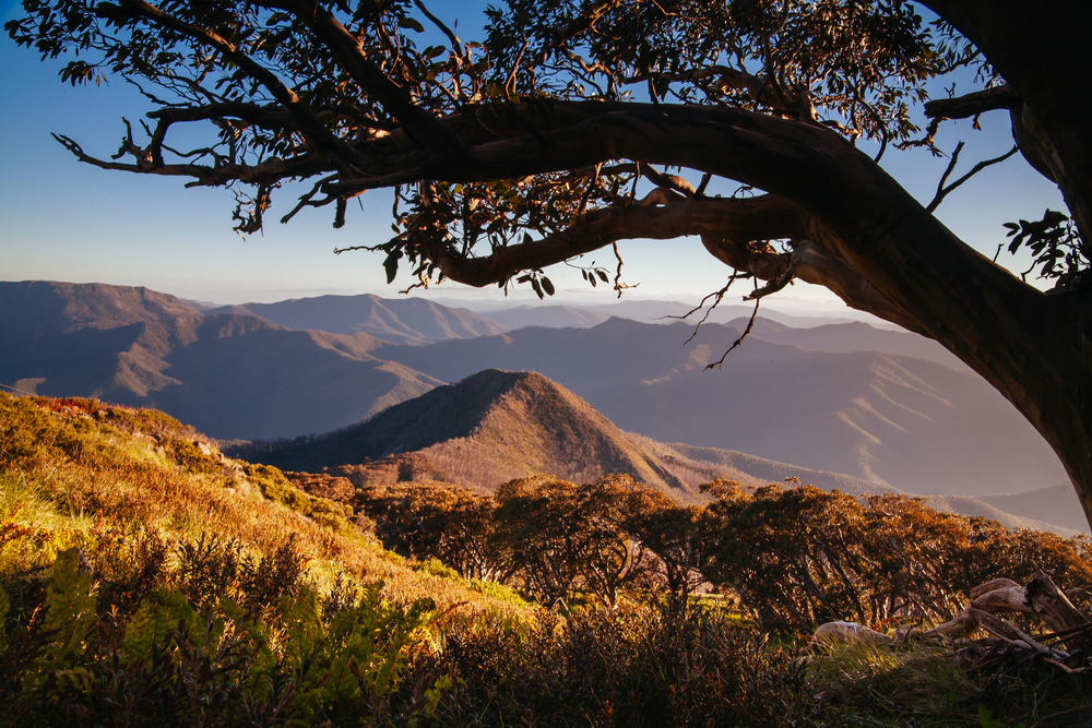 The view at sunset from the summit of Mt Buller over Little Buller Spur in the Victorian High Country, Australia