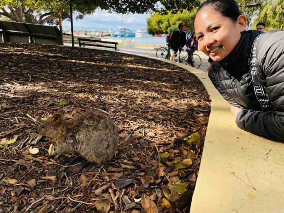 Woman smiling next to a quokka on Rottnest Island, with a scenic background of trees, benches, and the ocean. This image highlights one of the unique wildlife experiences in Australia, addressing the question "Is going to Australia worth it?" by showcasing its distinctive and friendly native animals.