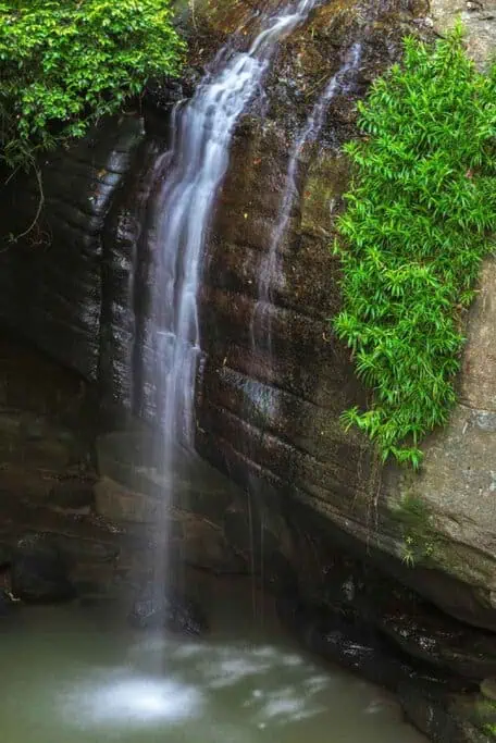 Serenity Falls, with water gently cascading down a rocky surface surrounded by lush greenery. This peaceful waterfall is a perfect example of the best hidden waterfalls in Queensland, offering visitors a serene and tranquil escape into nature.